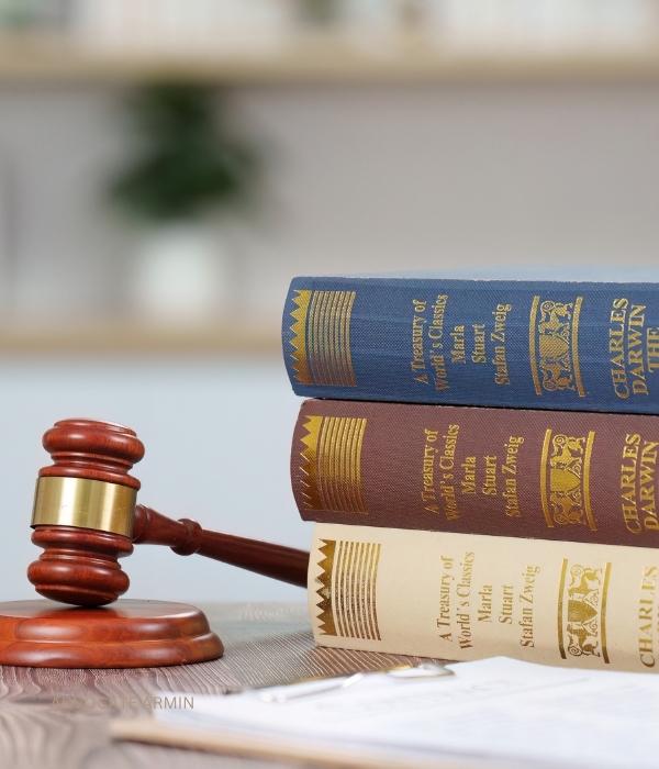 Advocate Armin legal services